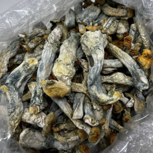 hillbilly shrooms