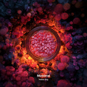 muscimol pellets
