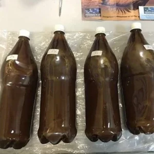 ayahuasca kaufen