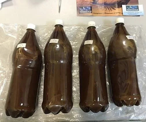 ayahuasca kaufen